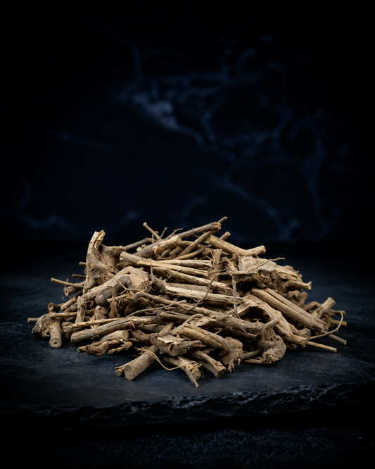 Dried Siberian Ginseng root, Eleutherococcus senticosus, from the Altai region