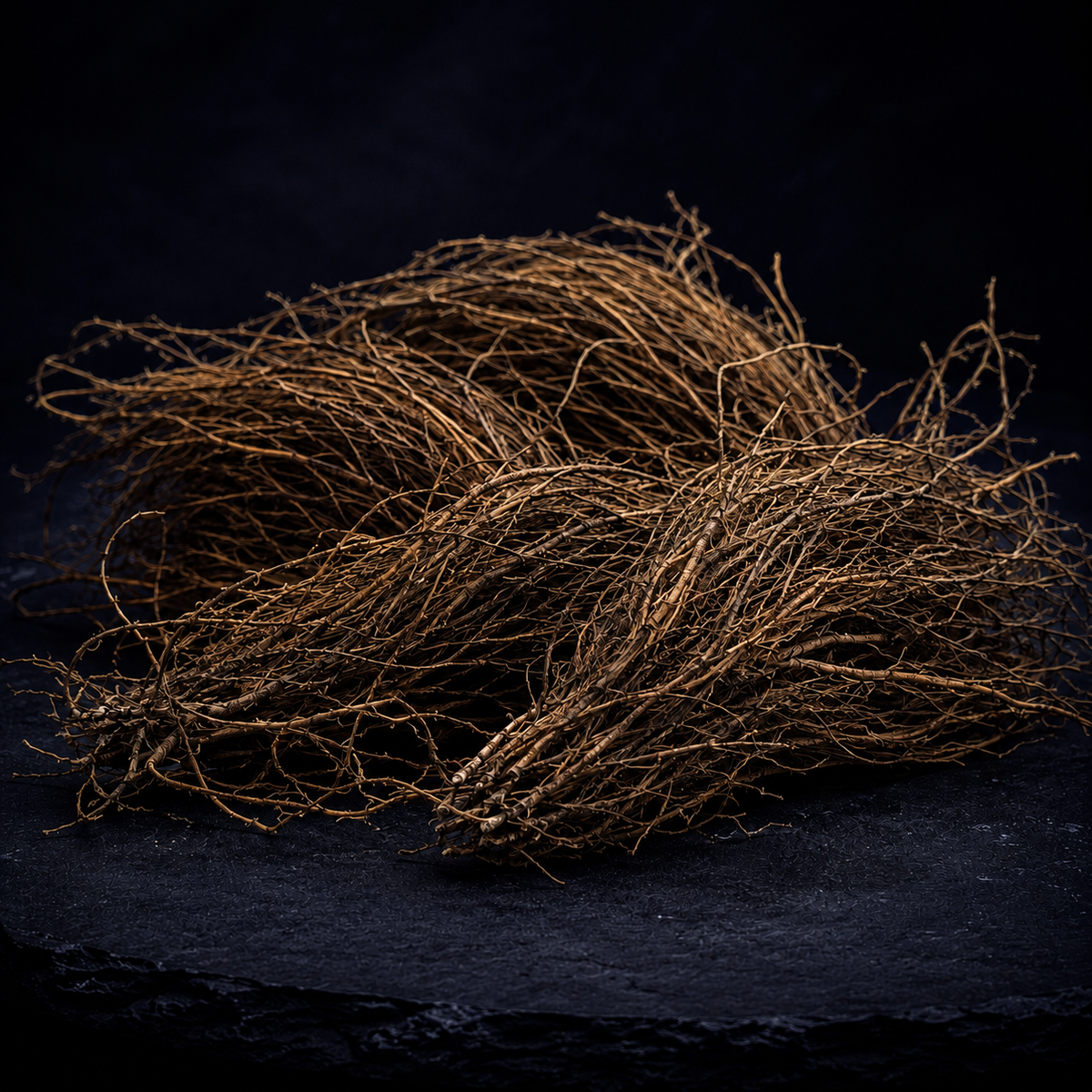 Dried Maral Root, Rhaponticum carthamoides, from the Altai region